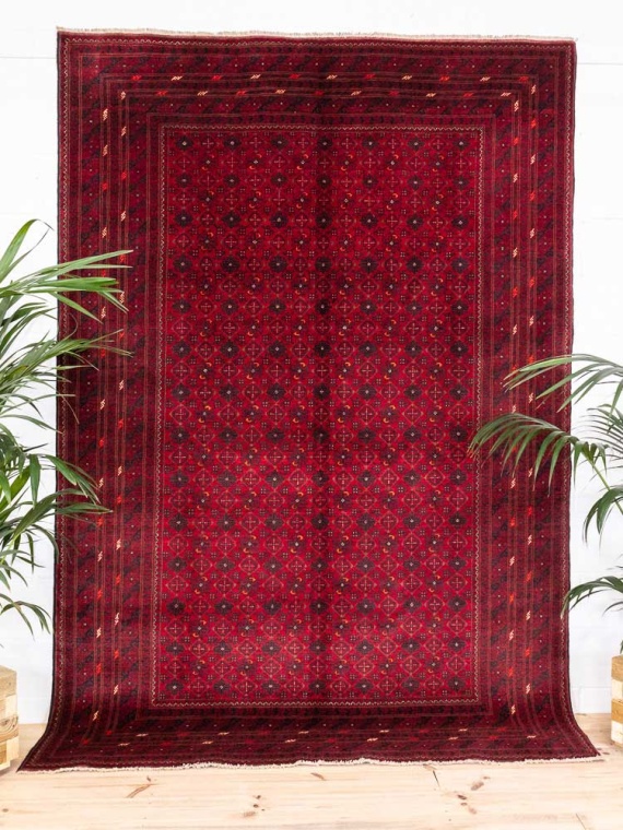 12819 Large Fine Afghan Kunduz Carpet 197x290cm (6.5 x 9.6ft)