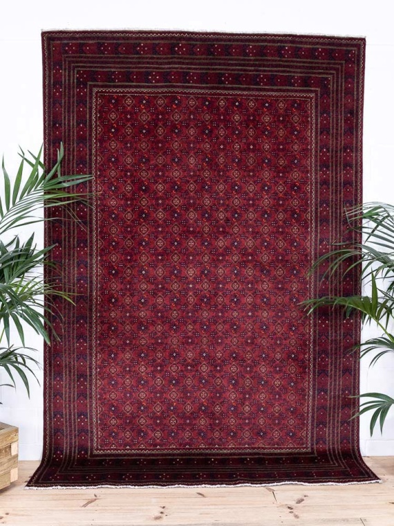 12975 Large Fine Afghan Kunduz Carpet 194x285cm (6.4 x 9.4ft)