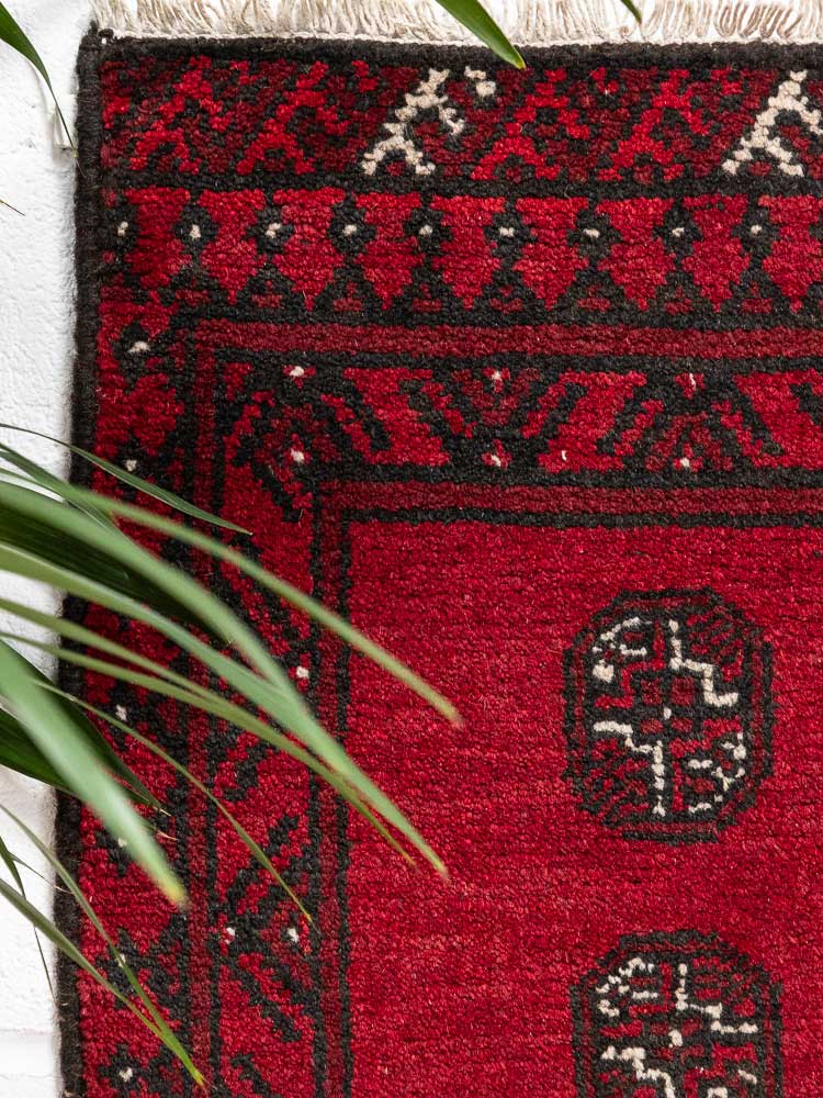 12758 Small Afghan Red Aq Chah Pile Rug 50x64cm (1.7 x 2.1ft)