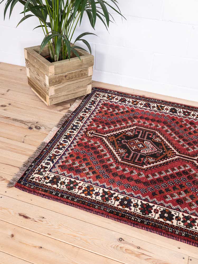 12777 Shiraz Handknotted Wool Rug 116x162cm ((3.10 x 5.3ft)