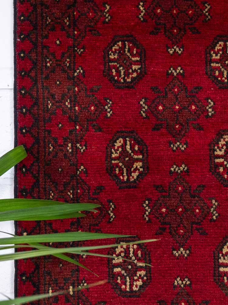 12793 Afghan Red Aq Chah Runner Rug 67x299cm (2.2 x 9.9ft)