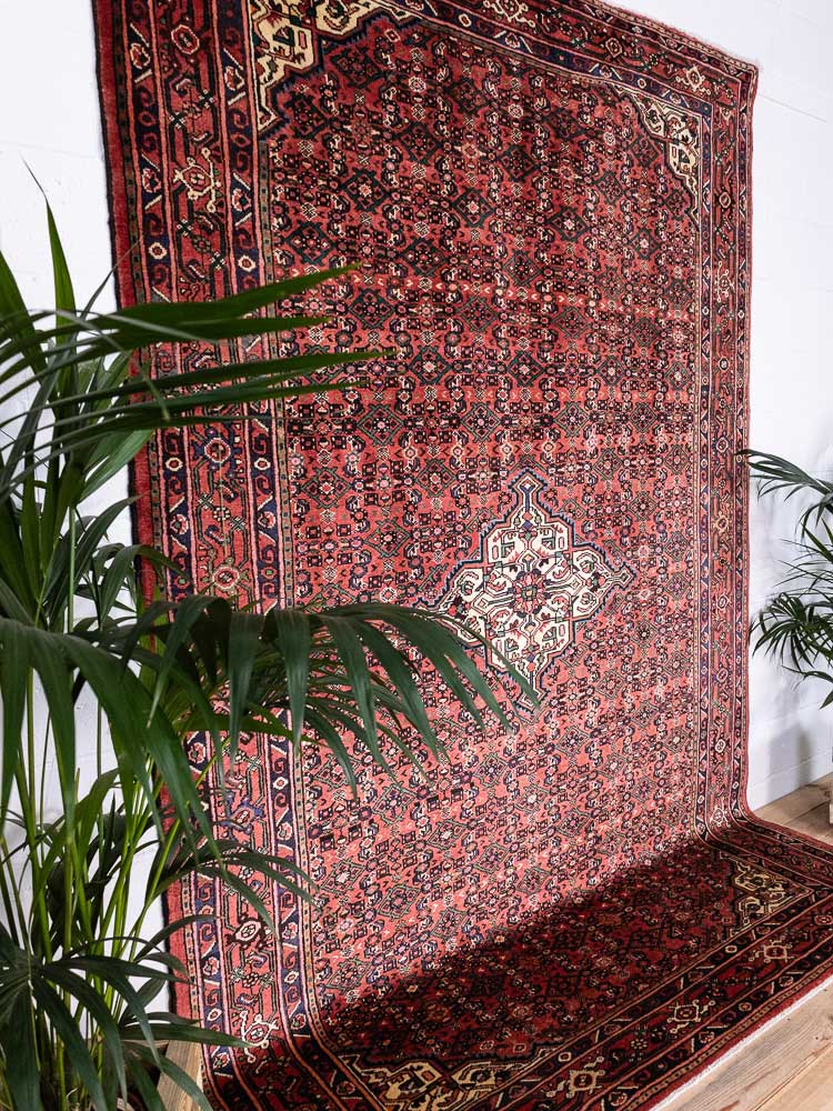 12813 Large Hosseinabad Handknotted Wool Carpet 213x321cm (6.11 x 10.6ft)