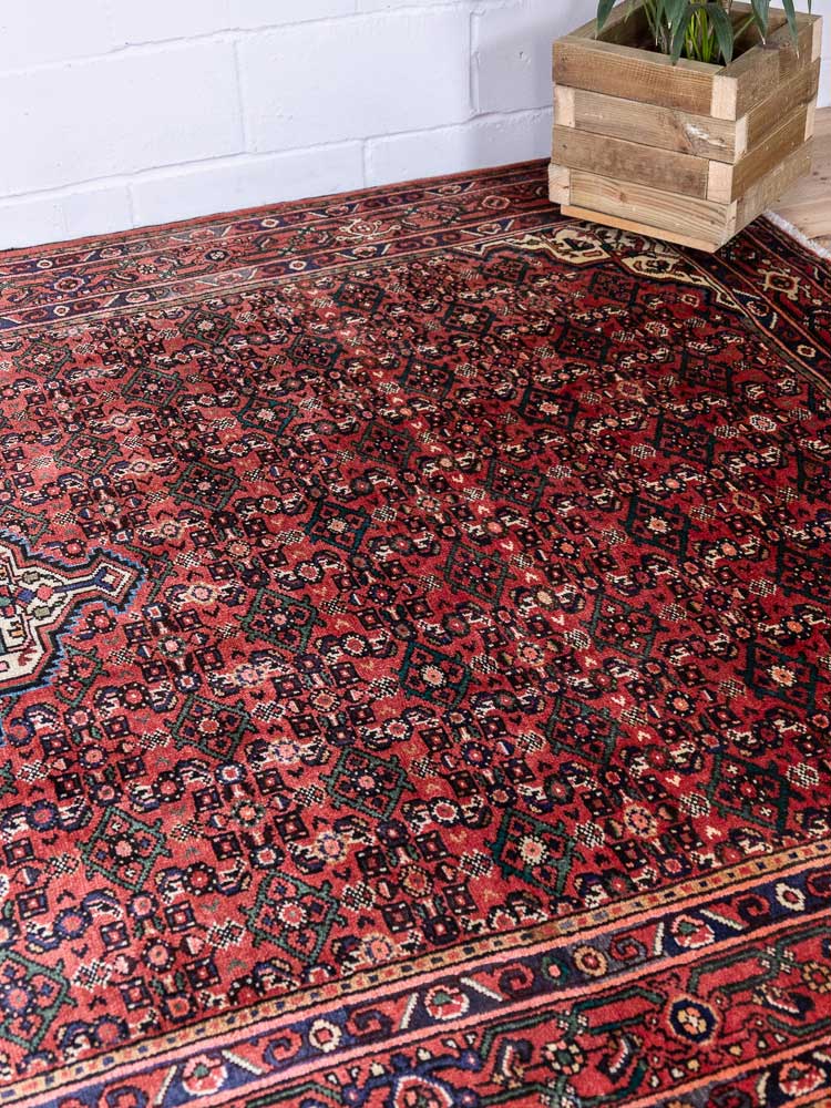 12813 Large Hosseinabad Handknotted Wool Carpet 213x321cm (6.11 x 10.6ft)