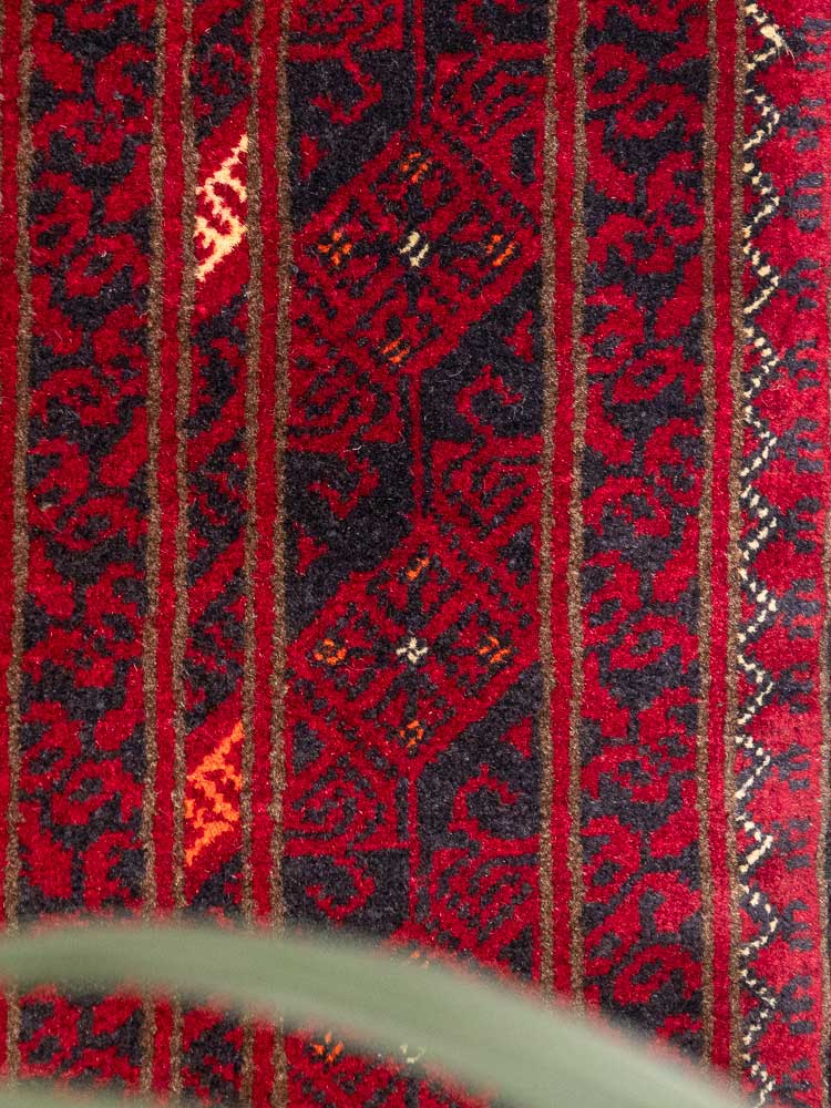 12819 Large Fine Afghan Kunduz Carpet 197x290cm (6.5 x 9.6ft)