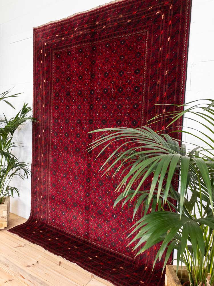 12819 Large Fine Afghan Kunduz Carpet 197x290cm (6.5 x 9.6ft)