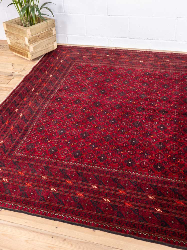 12819 Large Fine Afghan Kunduz Carpet 197x290cm (6.5 x 9.6ft)