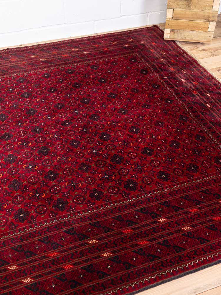 12819 Large Fine Afghan Kunduz Carpet 197x290cm (6.5 x 9.6ft)