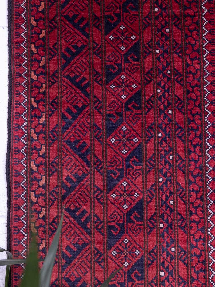 12820 Large Fine Afghan Kunduz Carpet 194x300cm (6.4 x 9.10ft)