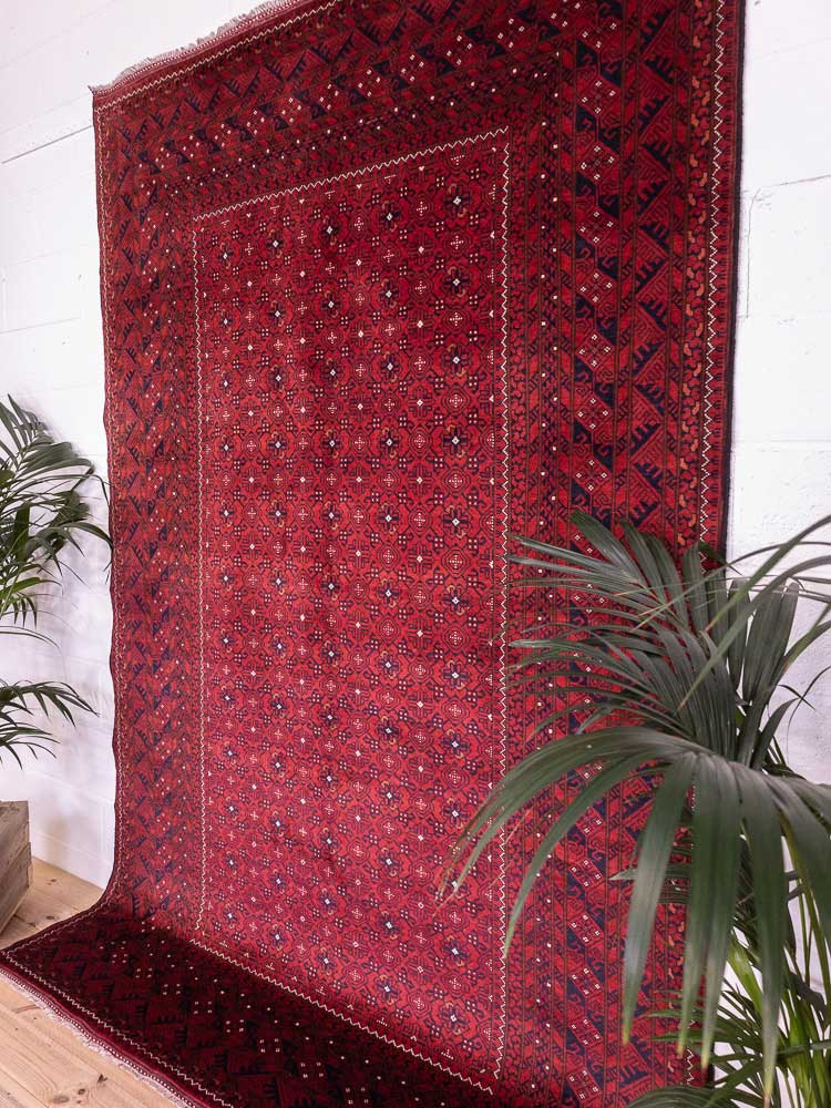 12820 Large Fine Afghan Kunduz Carpet 194x300cm (6.4 x 9.10ft)