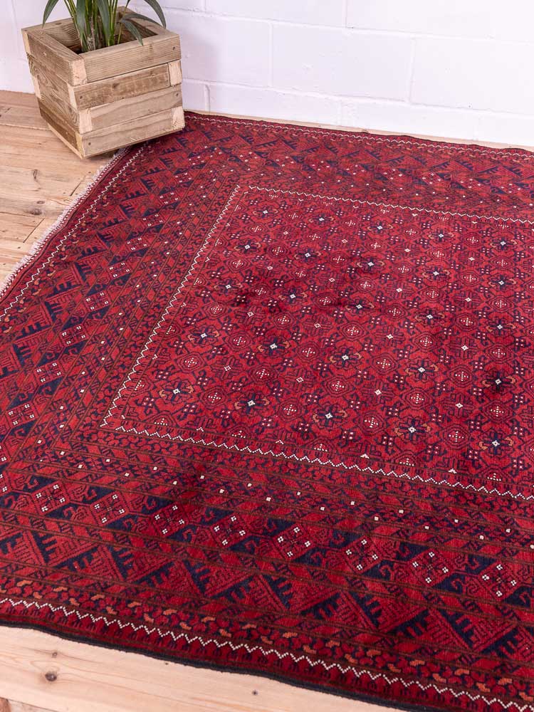 12820 Large Fine Afghan Kunduz Carpet 194x300cm (6.4 x 9.10ft)