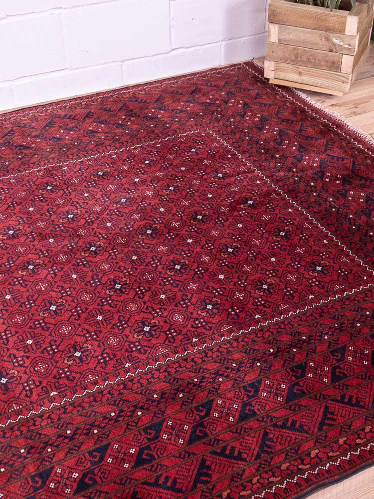 12820 Large Fine Afghan Kunduz Carpet 194x300cm (6.4 x 9.10ft)