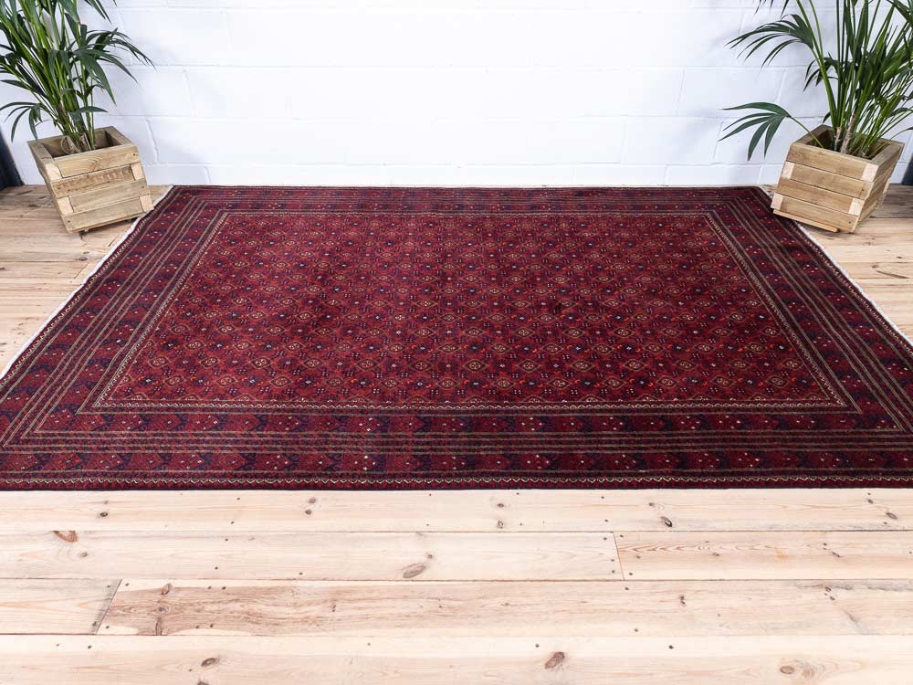 12975 Large Fine Afghan Kunduz Carpet 194x285cm (6.4 x 9.4ft)