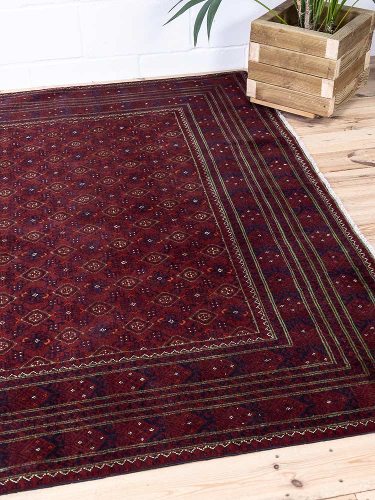 12975 Large Fine Afghan Kunduz Carpet 194x285cm (6.4 x 9.4ft)