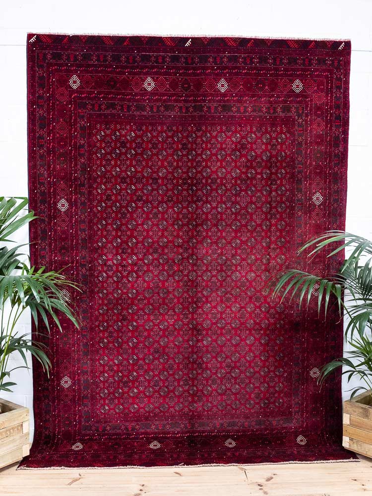 12979 Large Fine Afghan Kunduz Carpet 202x281cm (6.7 x 9.2ft)