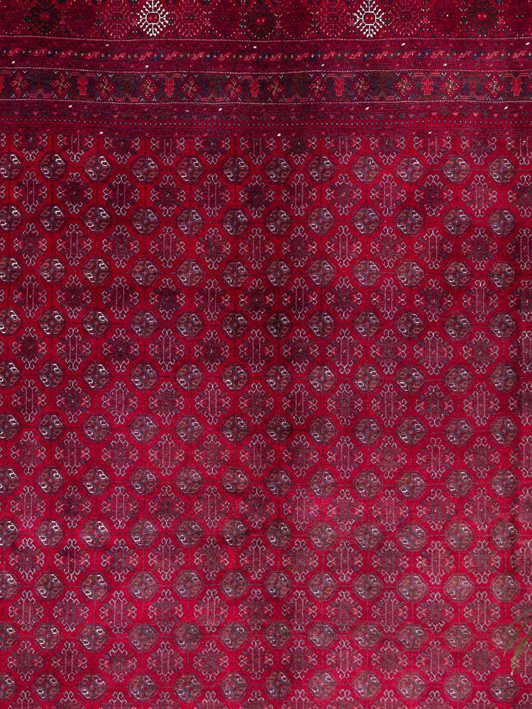 12979 Large Fine Afghan Kunduz Carpet 202x281cm (6.7 x 9.2ft)