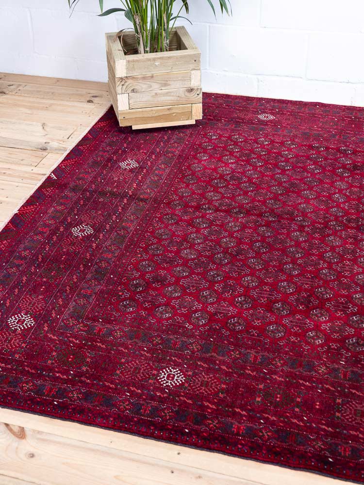 12979 Large Fine Afghan Kunduz Carpet 202x281cm (6.7 x 9.2ft)