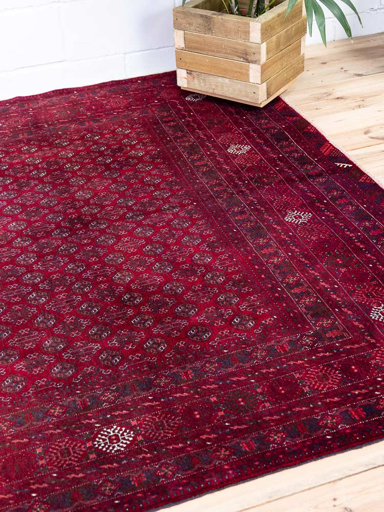 12979 Large Fine Afghan Kunduz Carpet 202x281cm (6.7 x 9.2ft)