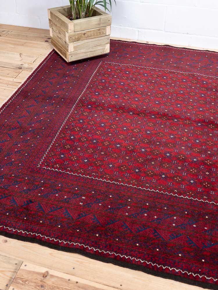 12980 Large Fine Afghan Kunduz Carpet 207x280cm (6.9 x 9.2ft)