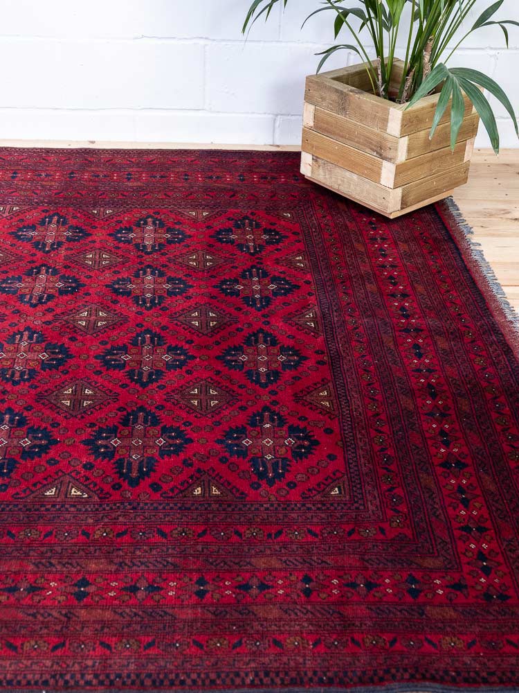 12981 Large Fine Afghan Khal Mohammedi Carpet 205x300cm (6.8 x 9.10ft)