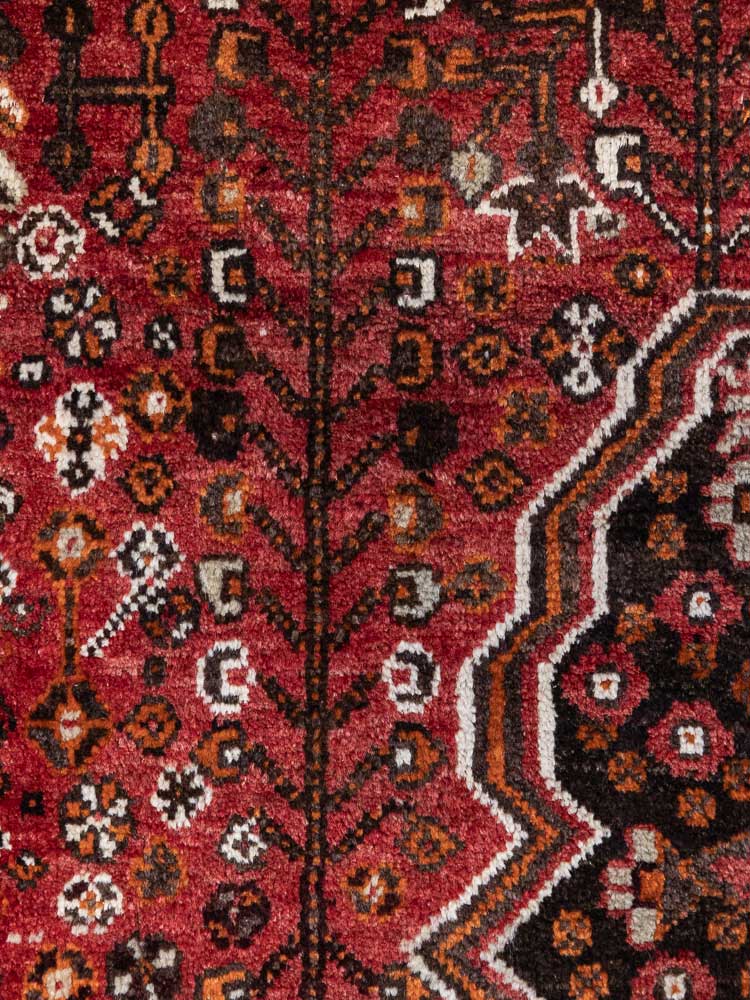 4819 Qashqai Farashband Carpet 160x243cm (5.3 x 7.11ft)