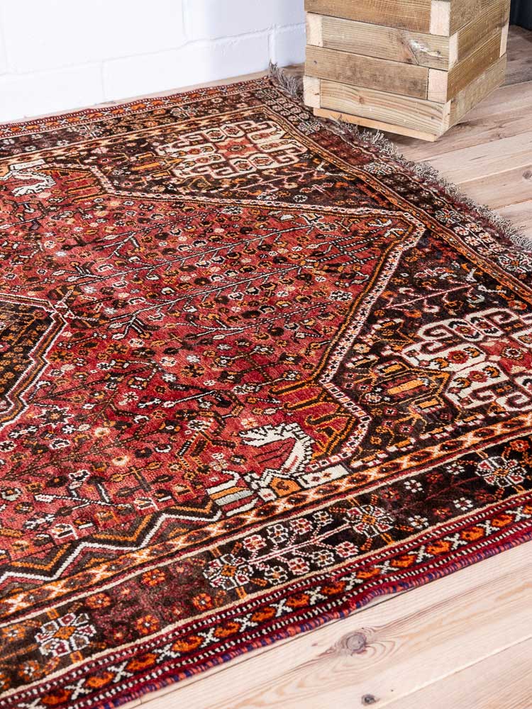 4819 Qashqai Farashband Carpet 160x243cm (5.3 x 7.11ft)