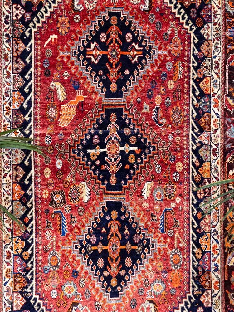 4856 Oriental Kashkuli Qashqai Carpet 155x241cm (5.1 x 7.11ft)